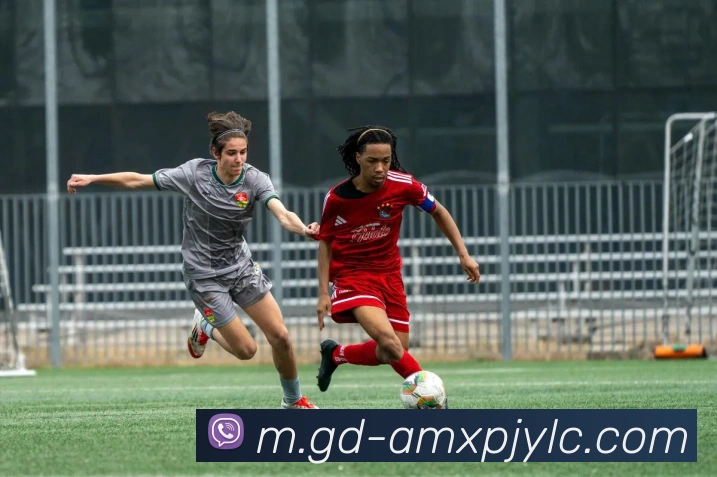 澳门新葡京娱乐APP 高清赛事图